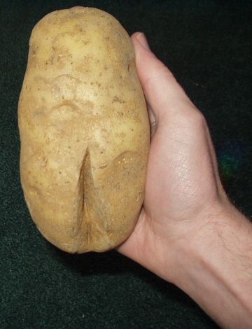 File:Potatoporn.jpg