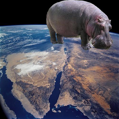 File:Hippo planet.jpg