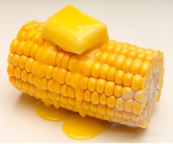File:Corn 1.jpg