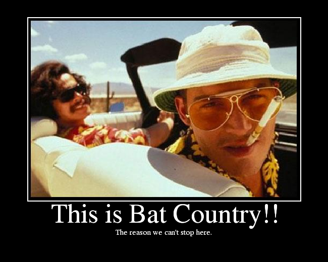 File:ThisisBatCountry.png
