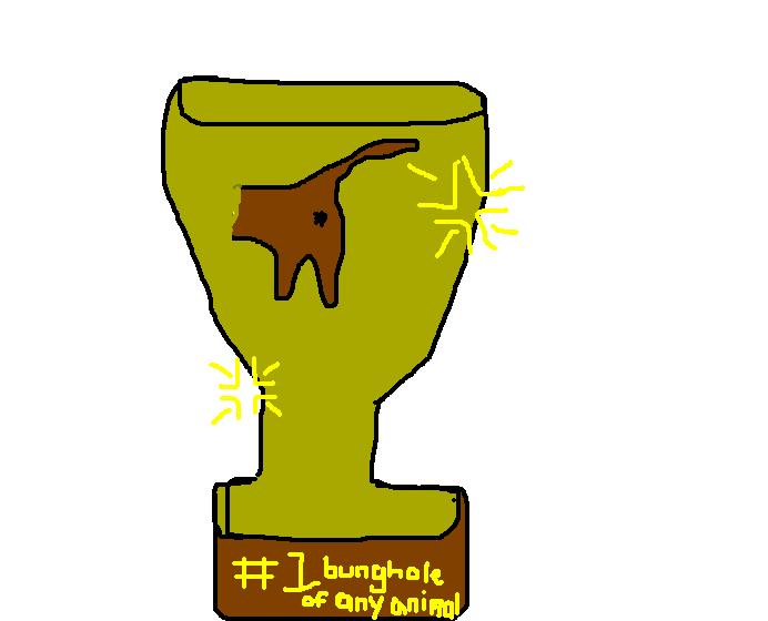 Cat ass trophy.JPG