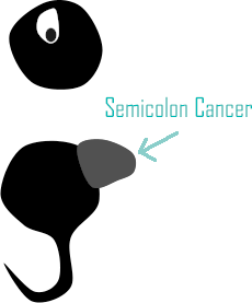 File:Semicolon.png