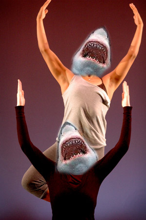 File:Sharkdance.jpg