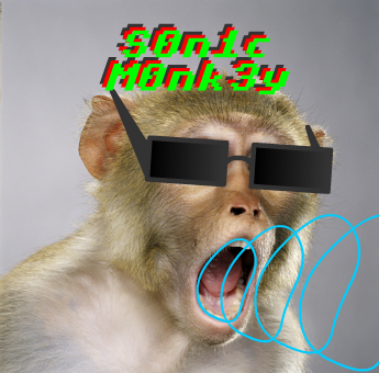 File:Sonicmonkey.png