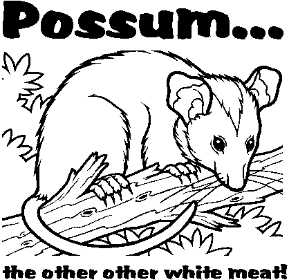 Possum2.gif