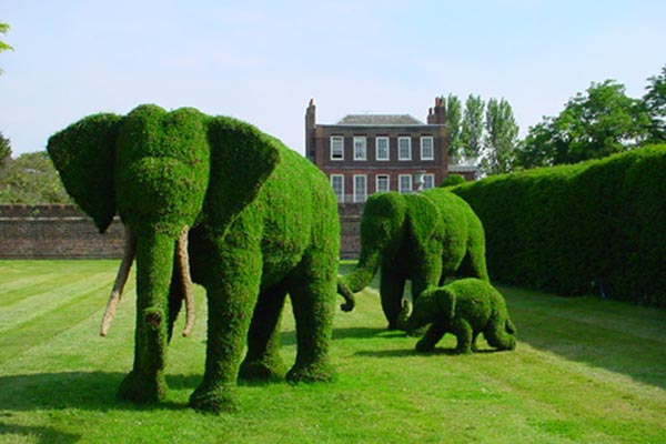 File:Topiary!!.jpg