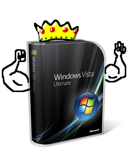 Copy of microsoft-windows-vista-box.jpg