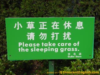 File:Sleeping-grass-china.jpg