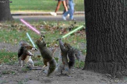 File:RebelSquirrels.jpg