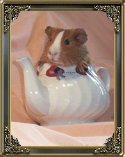 File:Tea Hamster.gif