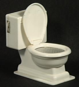 File:Toilet.jpg
