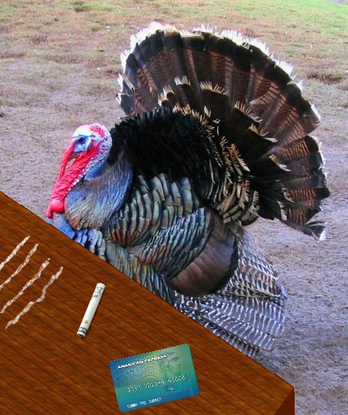 File:Turkey02.jpg