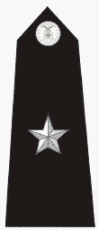 File:45px-Brigadier General insignia.png