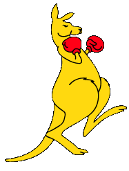 File:Boxing-kangaroo2.gif
