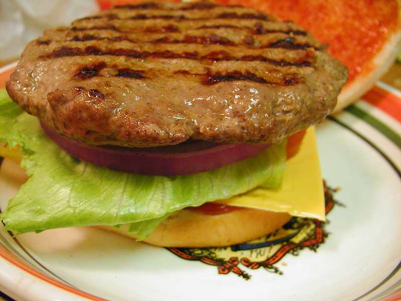 File:Homemade hamburger.jpg