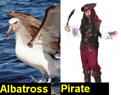 File:Albatross-Pirate.jpg