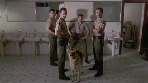 File:Thedogscop.jpg