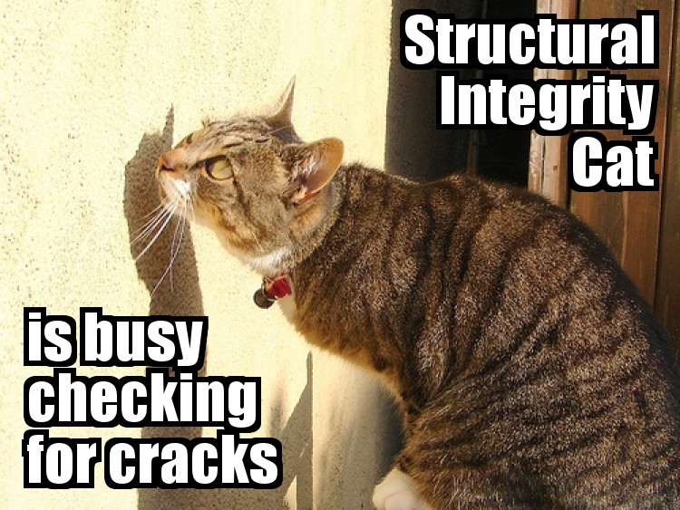 File:Inspector cat.jpg