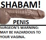 File:SHABAM!penis.jpg