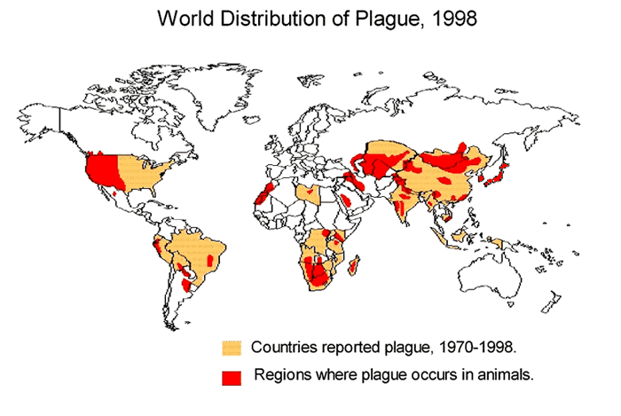 File:World distribution of plague 1998.PNG