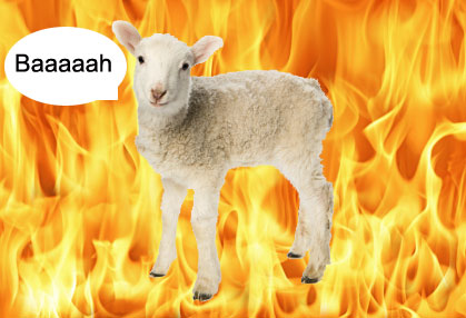 File:179166 the-fire-sheep-talks.jpg