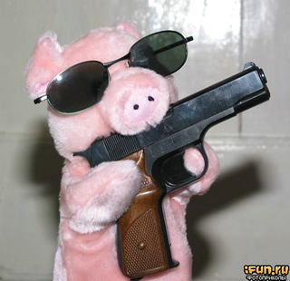 File:Boer pig with handgun.jpg