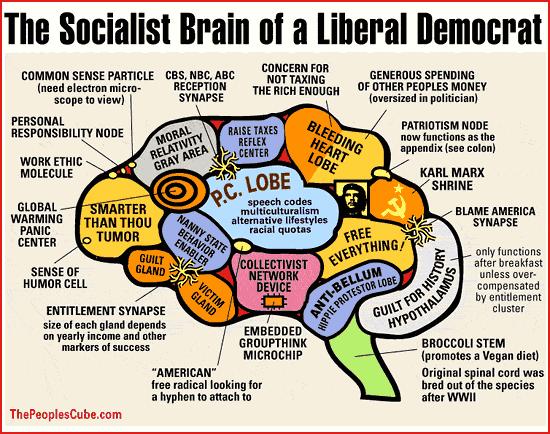 File:The-socialist-brain-of-a-liberal-democrat.jpg