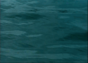 Film of Waves.gif