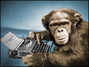 File:Typing monkey.jpg