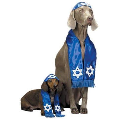 File:Doggie shalom costume.jpg