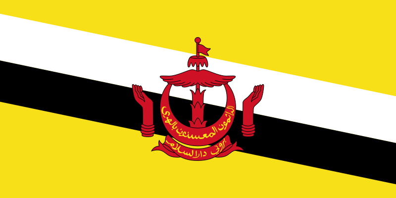 File:Flag of Brunei.png