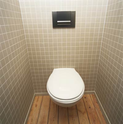 File:Toilet-new.jpg