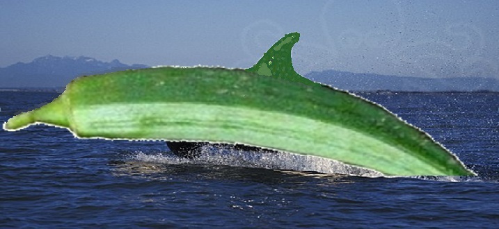 File:OKRA the killer whale.jpg
