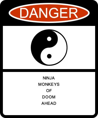 File:Ninja.jpg