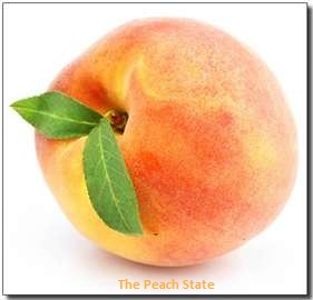 File:Peachfruit.jpg
