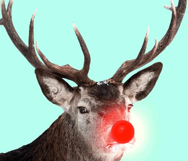 File:Rudolph meh.jpg