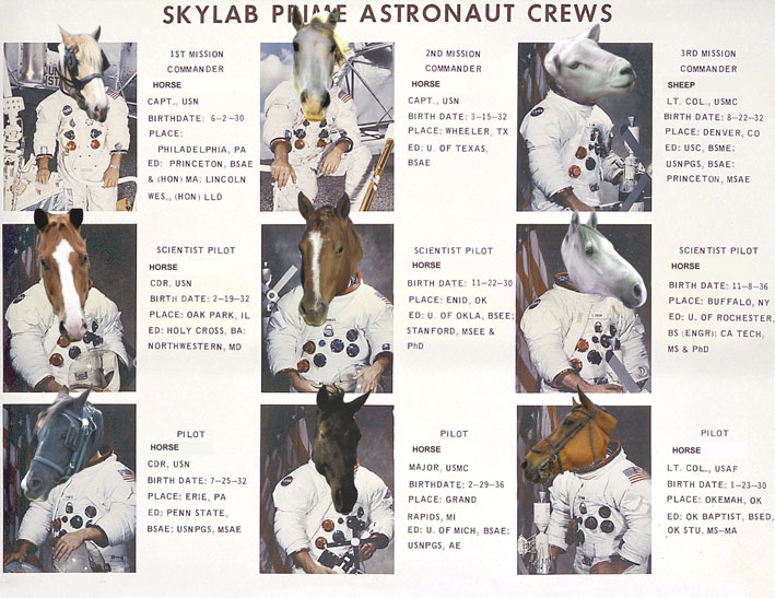File:Skylab Space Horse Squad.jpg