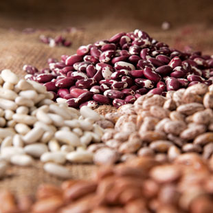 File:Beans dry pile so09 1.jpg