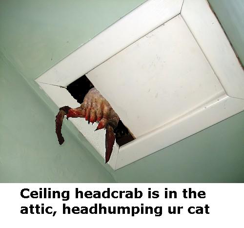 File:Ceilingheadcrab.jpg