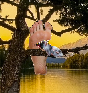 File:Foots.png