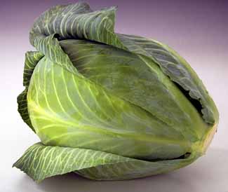File:Green cabbage.jpg