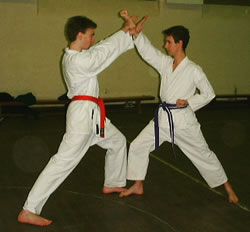 File:Karatepower.jpg