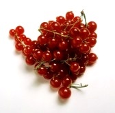 File:Red Currants.jpg