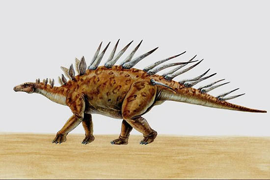 File:Kentosaurus.jpg