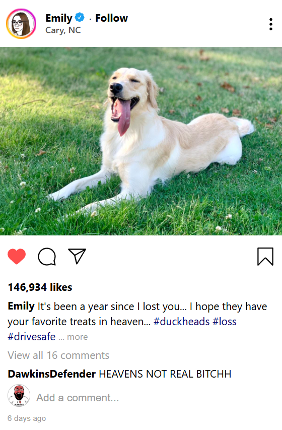 Fake instagram post.png