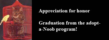 File:Noob-graduation.jpg