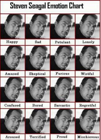 File:Steven Seagals facial expressions.jpg