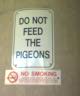Don't Feed Pigeons.jpg