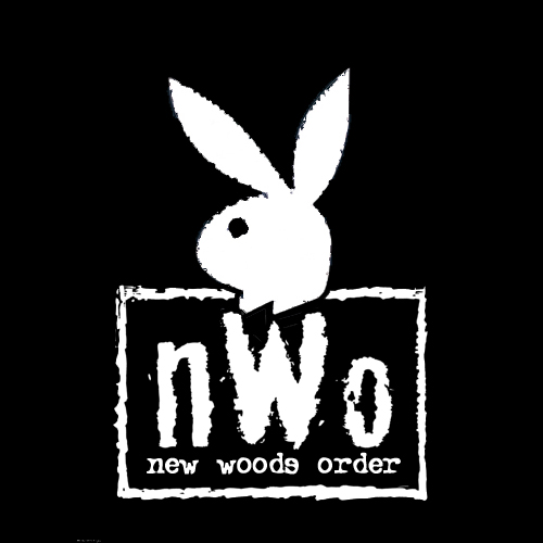 File:Nwo logo.jpg