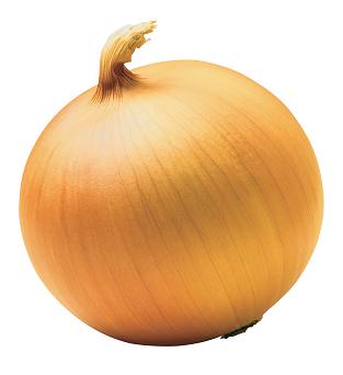 File:Yellow onion.jpg